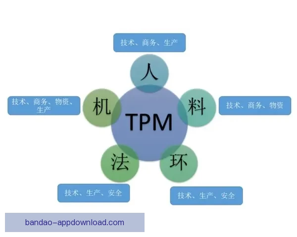 全面解析体育竞猜平台发展趋势与风险管理策略